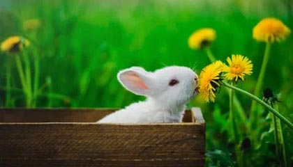 九游体育官网入口-绝地反击！强队逆转获胜续写冠军争夺历史，绝地反击上演惊天逆转