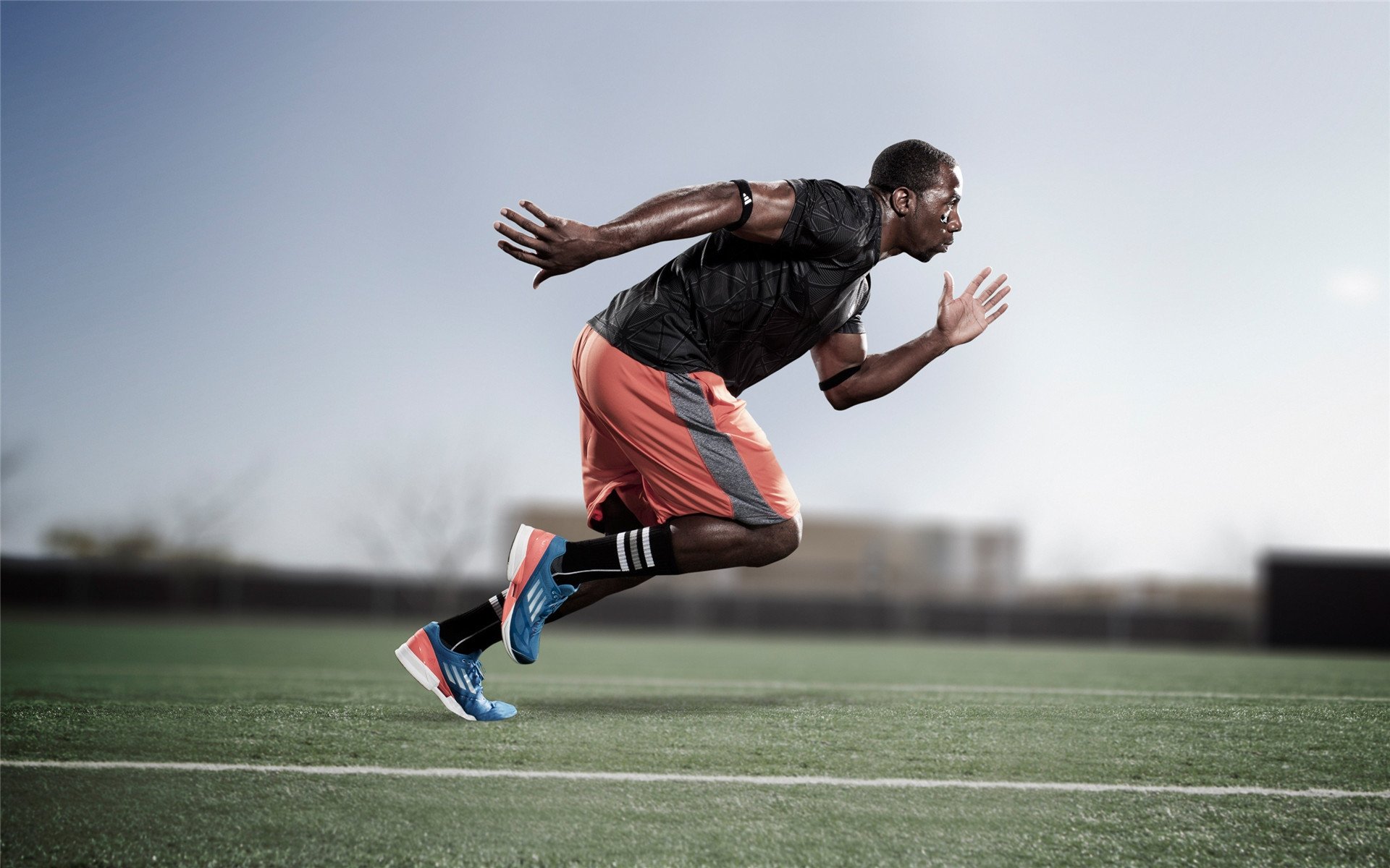 _都市飞盘比赛：年轻活力的最佳展现_，飞盘运动的赛事规则