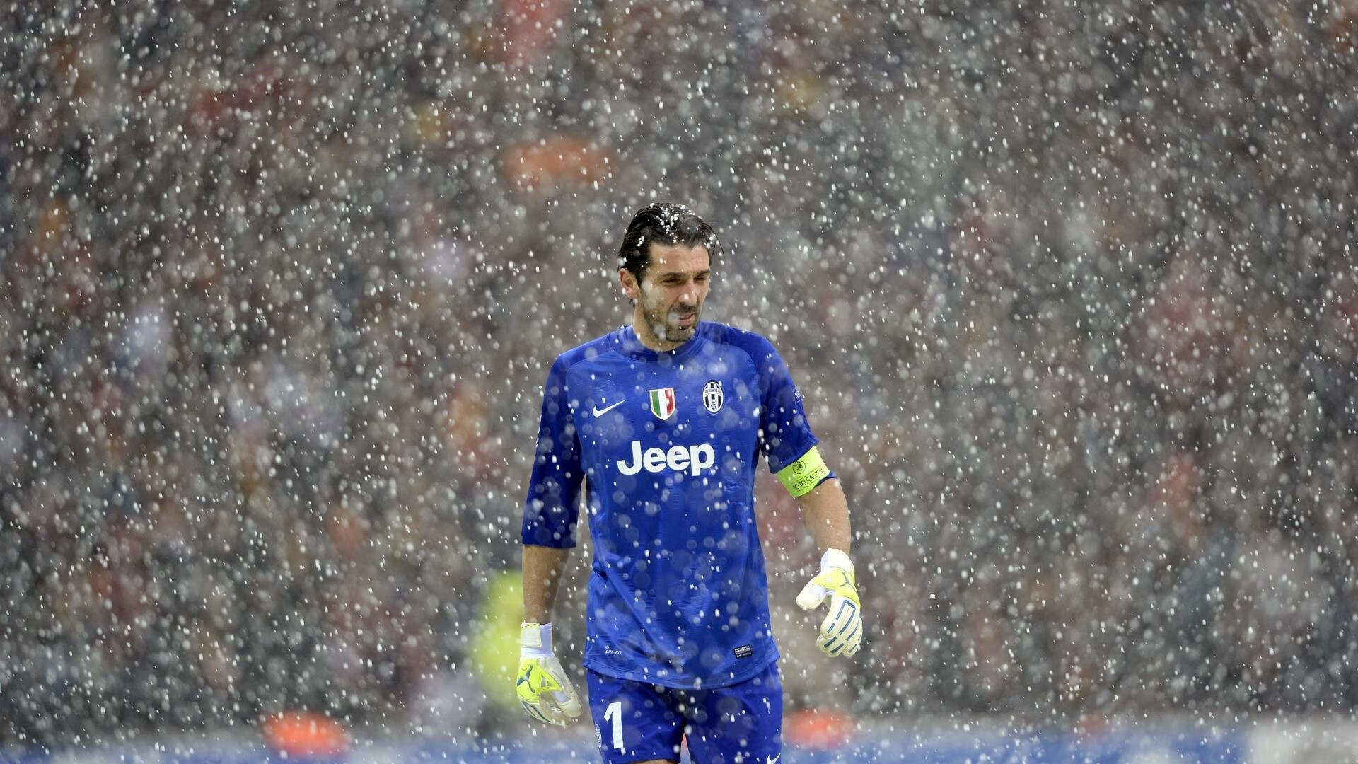 法甲胜利，球迷反应热烈，法甲足球